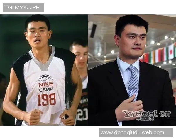 姚明织带模式的成功之道与其在体育与商业领域的深远影响分析